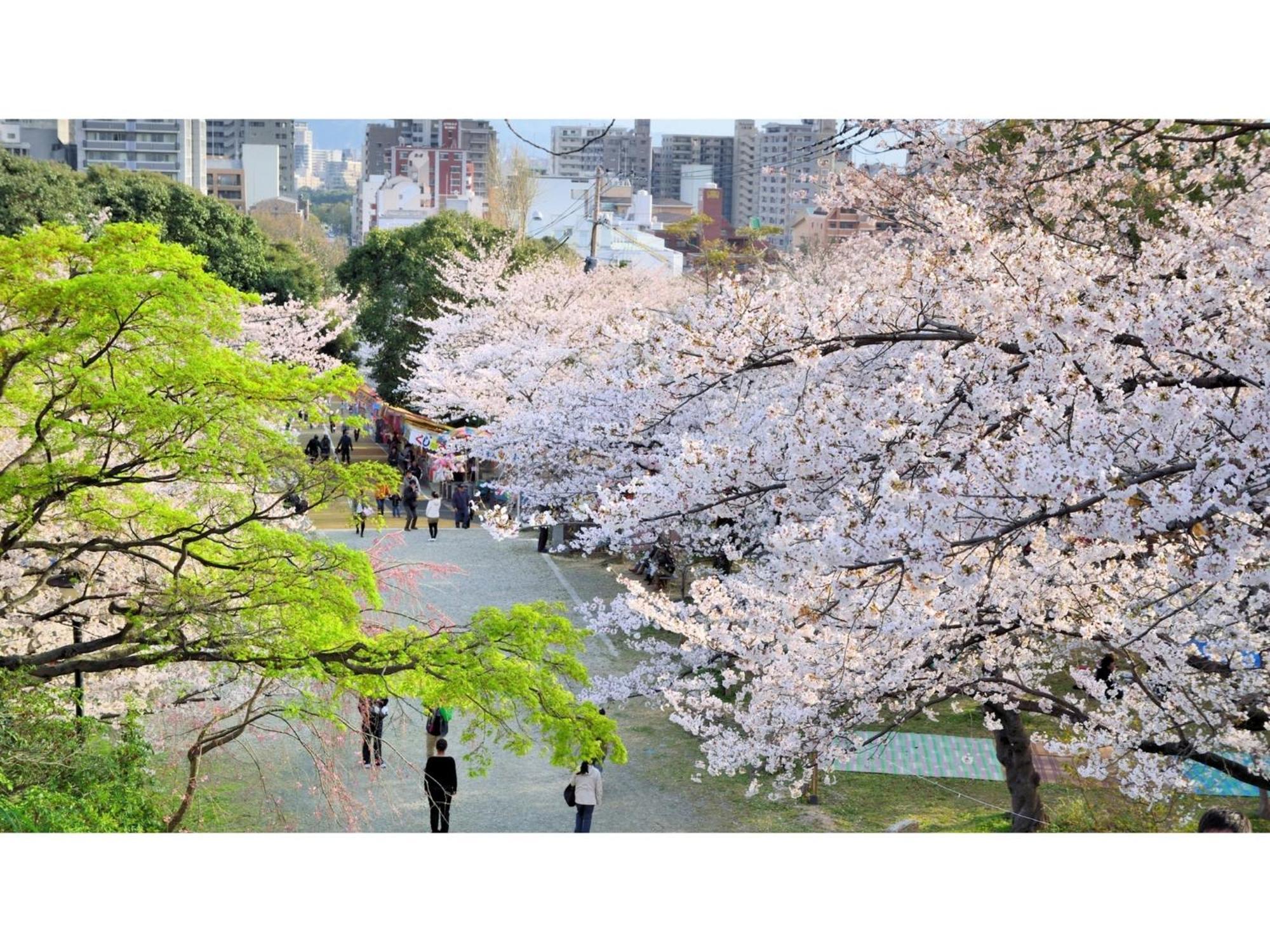 Business Ryokan Otamaya Sendai Zewnętrze zdjęcie
